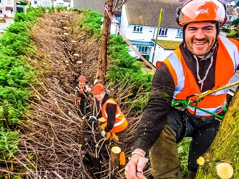 Fresh Tree Care Services â Basildon Branch - In-Home Care in Basildon, England photo 2