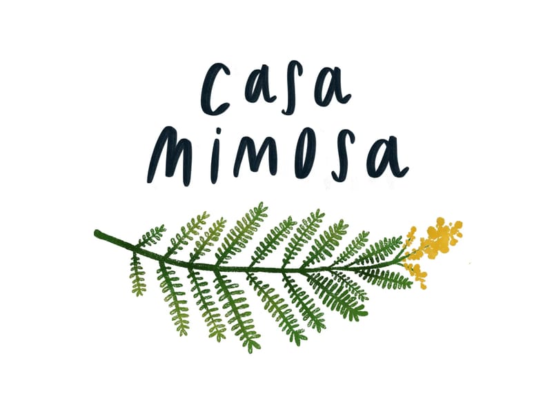 R.S.A. Casa Mimosa - Casa di Riposo in Pisa, Toscana photo 3
