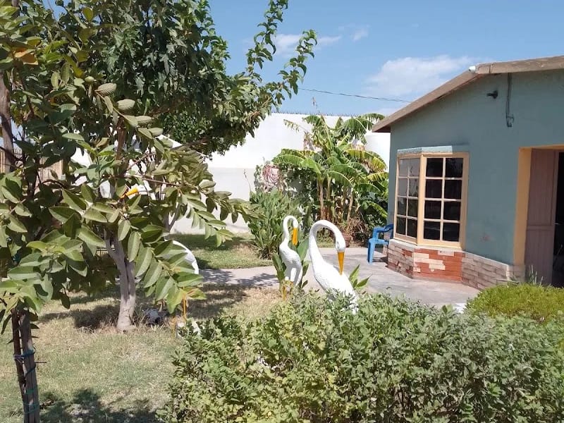 CENTRO DE ATENCION PARA ADULTOS MAYORES LA CASA DE NANA LUZ - Hogar de Ancianos in San Luis Río Colorado, Sonora photo 3