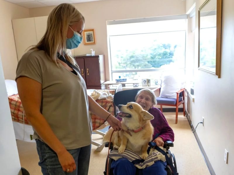 Ayyada Care Ltd - In-Home Care in Peterborough, England photo 2