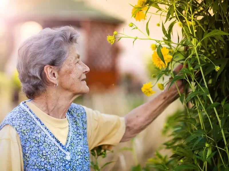 A Home For Care L L C - Assisted Living in Buckeye, AZ photo 1