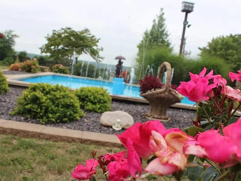 Chez Michael Care LLC - Home Health Nursing in Crystal, MN photo 2