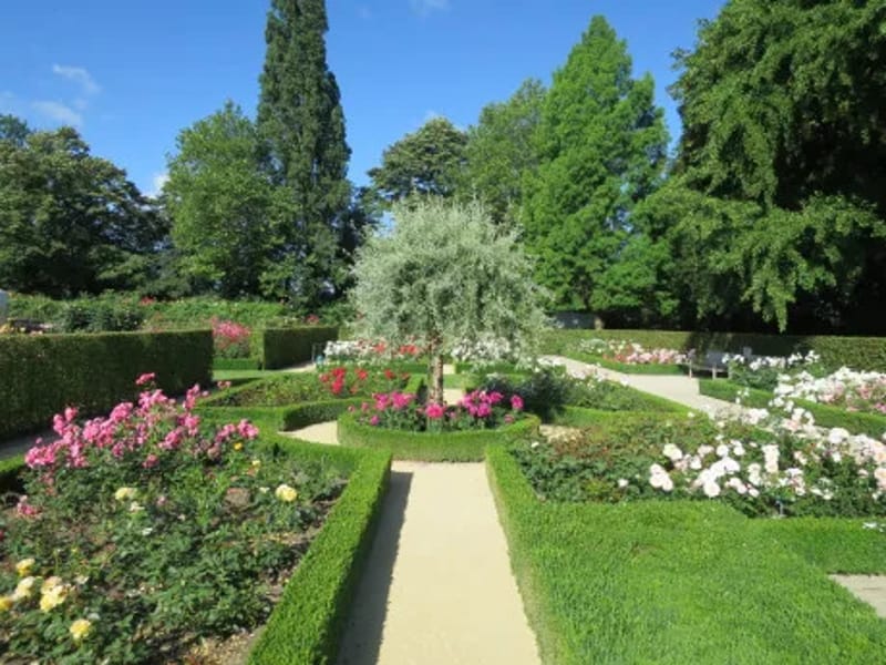 De Rozentuin - Begeleid Wonen in Zoetermeer, Zuid-Holland photo 2