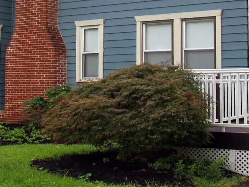 Bernetich, Hatzell & Pascu, LLC - Elder Law in Cherry Hill, NJ photo 3