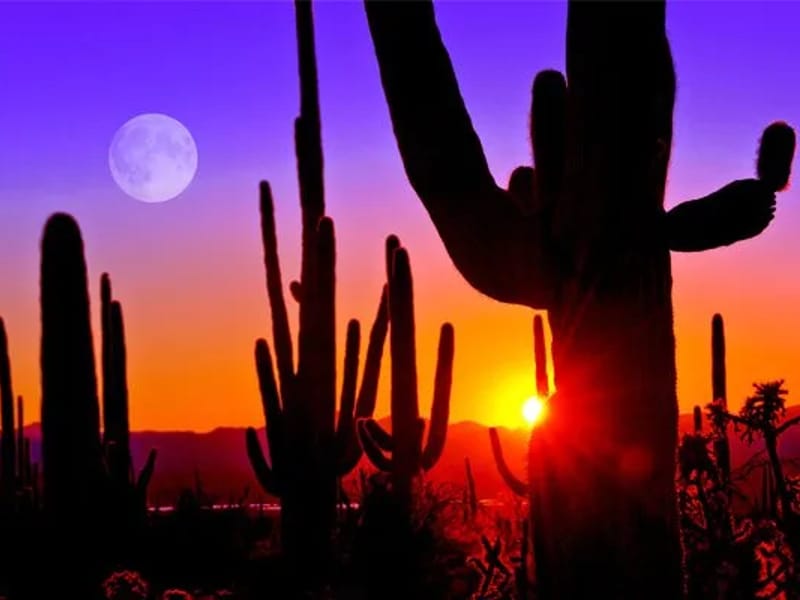 Caring For Generations, Llc — Assisted Living, Tucson, AZ · photo 2