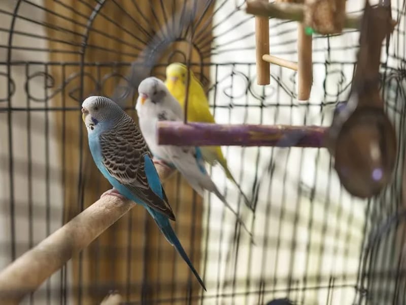 Amana Living St George's Care Centre - Nursing Home in Bayswater, WA photo 2
