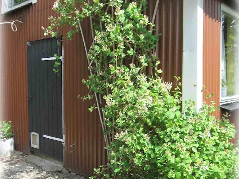 Kaprifolen - Äldreboende in Kungälv, Västra Götalands län photo 2