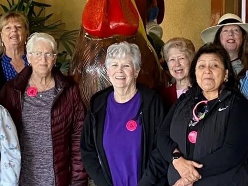 AMISTAD SENIOR WELLNESS PROGRAMS INC. - Home Health Nursing in Anaheim, CA photo 1