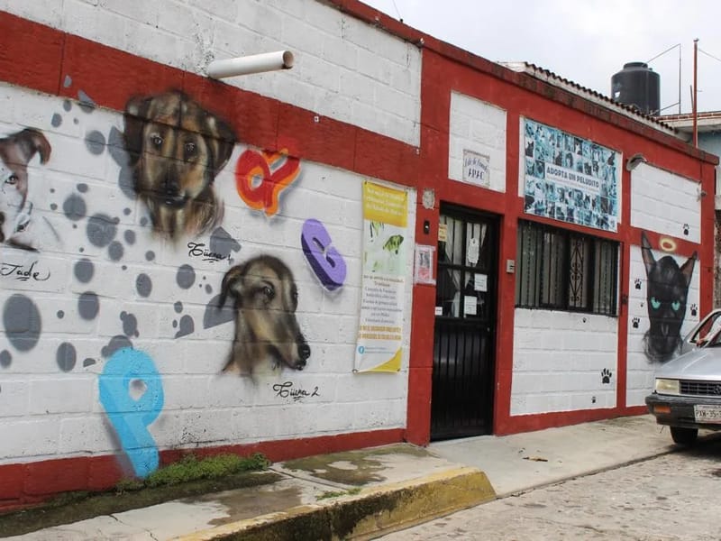 ASILO DE ANIMALES PHILIP E KAHAN - Hogar de Ancianos in Cuernavaca, Morelos photo 2