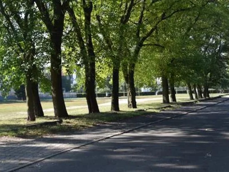 Opieka Długoterminowa Oborniki Śląskie - Pielęgniarstwo domowe in Oborniki Śląskie, Oborniki Śląskie photo 1