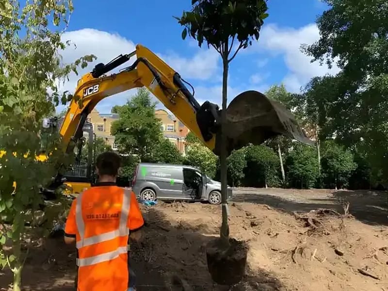 Fresh Tree Care Services â Surrey Branch - In-Home Care in Camberley, England photo 2