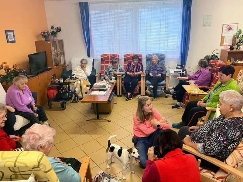 denní stacionáře (2060411) - Denní stacionář in Plzeň, Plzeňský kraj photo 1