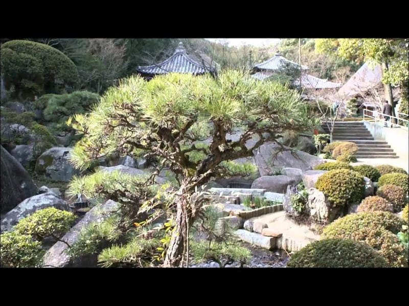 さくらそう玉島 - 入院リハビリ in 倉敷市, 岡山県 photo 3