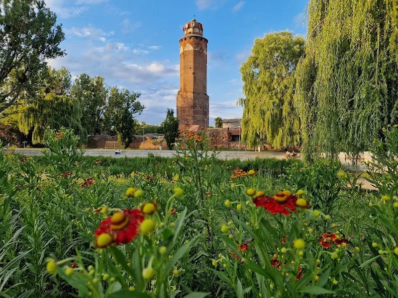 Powiat Brodnicki - Dom pomocy społecznej in Brodnica, Brodnica photo 3
