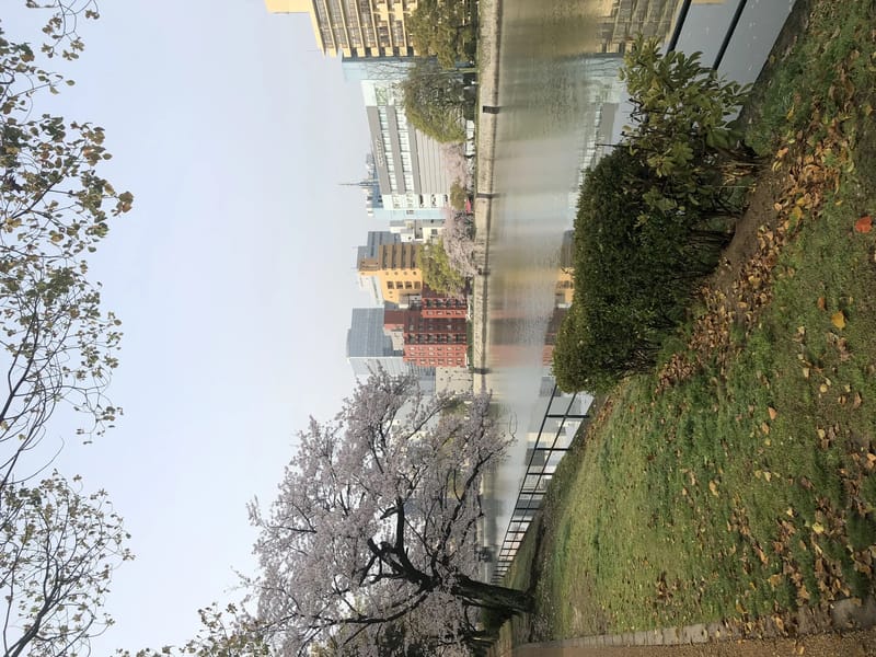 はなみずき - 有料老人ホーム in 広島市佐伯区, 広島県 photo 1