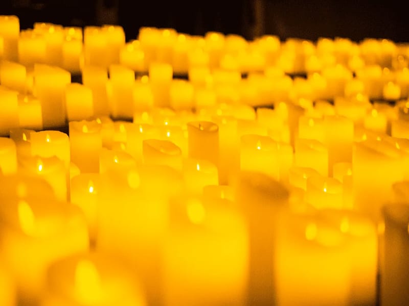 Candlelight 747 Healthcare Ltd - In-Home Care in Newcastle Upon Tyne, England photo 2