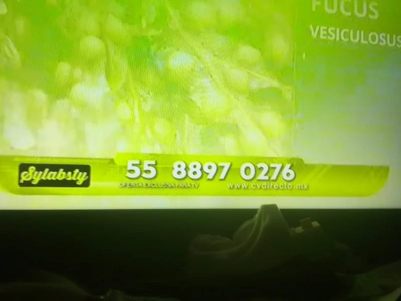 CASA HOGAR JUVENTUD Y VIDA - Vida Asistida in Cuautla, Morelos photo 2