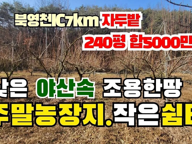 솔밭주야간보호센터 - 주간보호 in 사천시, 경상남도 photo 2