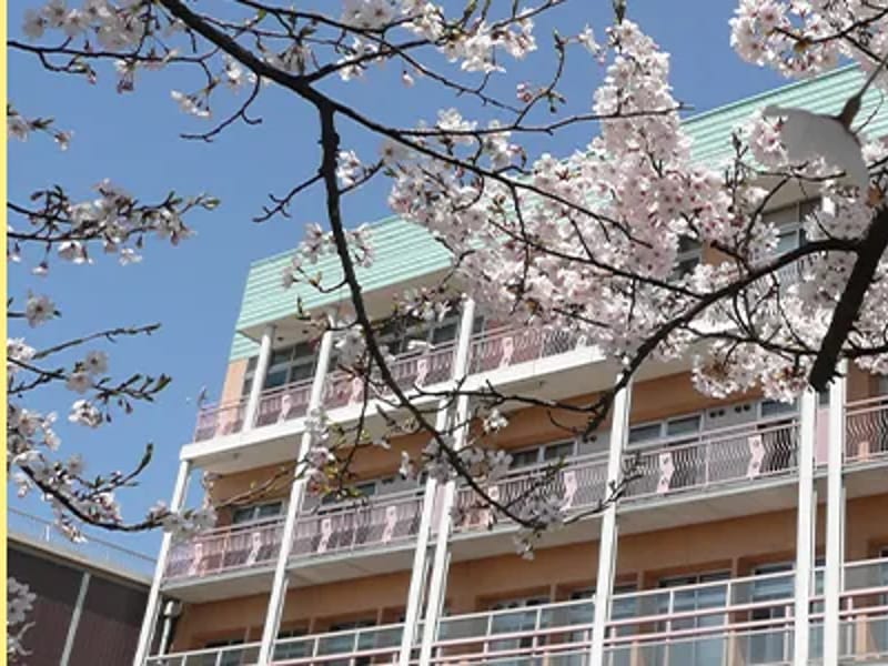 さくら聖母の園デイサービスセンター - デイサービス in 上越市, 新潟県 photo 2