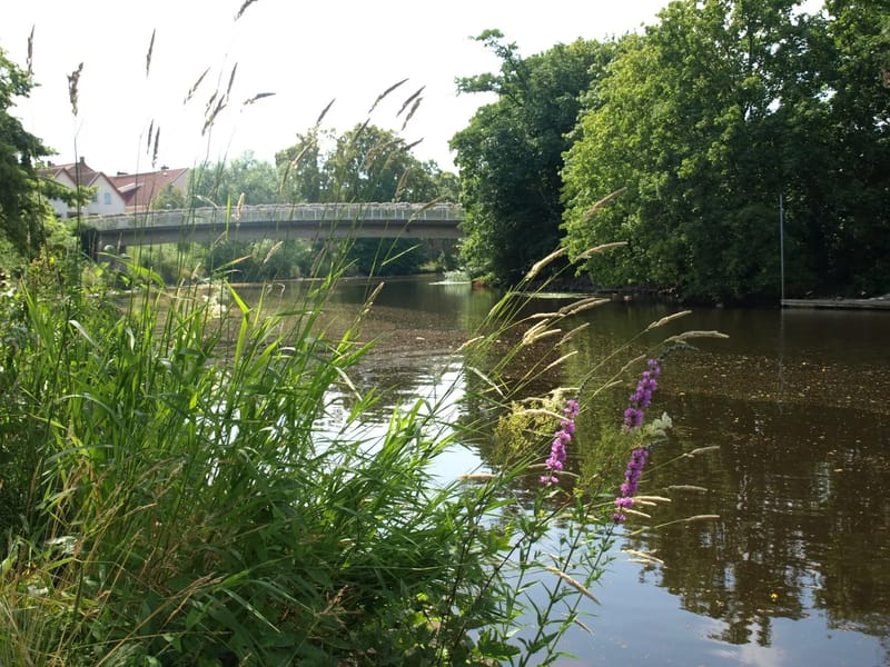 Hemtjänstområde Syd - Hemtjänst in Ängelholm, Skåne län photo 2