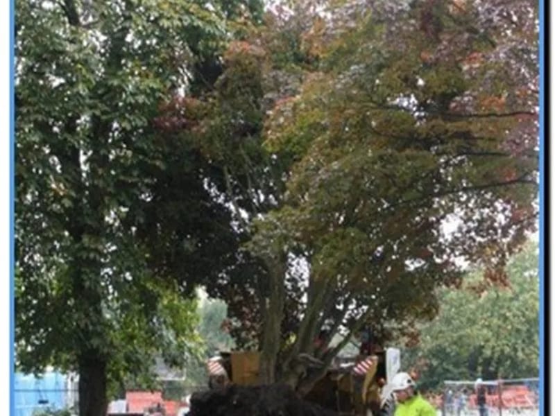 Stichting Huize het Oosten - Verpleeghuis in Bilthoven, Utrecht photo 2