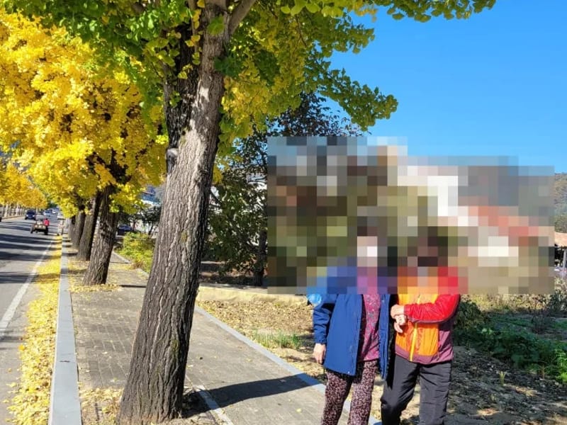 더 행복드림 재가복지센터 - 방문요양 in 동대문구, 서울특별시 photo 3