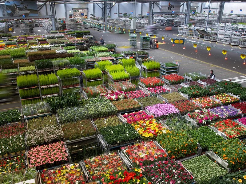 Florastate - Begeleid Wonen in Leeuwarden, Friesland photo 2