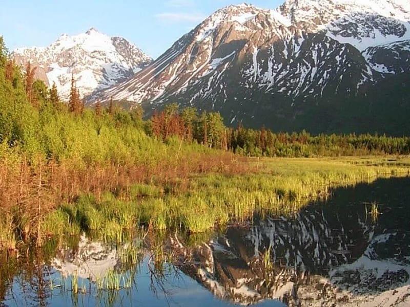 Alaska First Assists, LLC - Home Health Nursing in Eagle River, AK photo 1