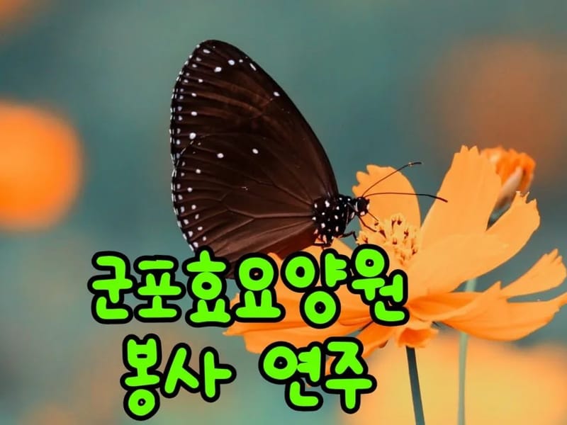 군포효요양원 - 요양병원 in 군포시, 경기도 photo 1