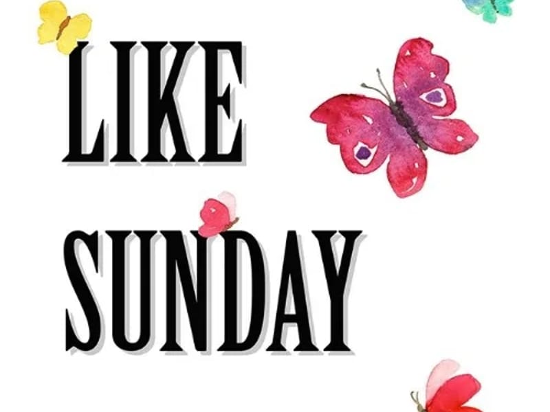 Easy Like Sunday Morning Limited - In-Home Care in Peterborough, England photo 2