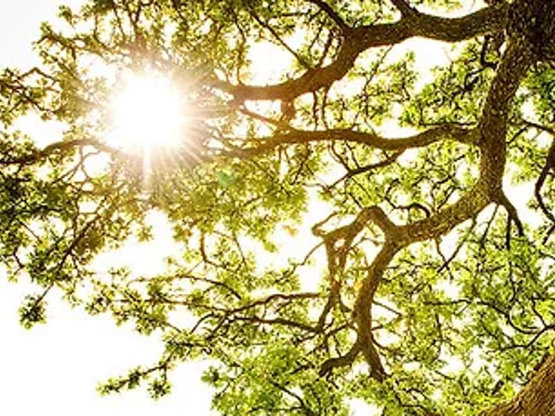 h・a株式会社　訪問看護ステーションあずき - 訪問看護 in 中津市, 大分県 photo 1