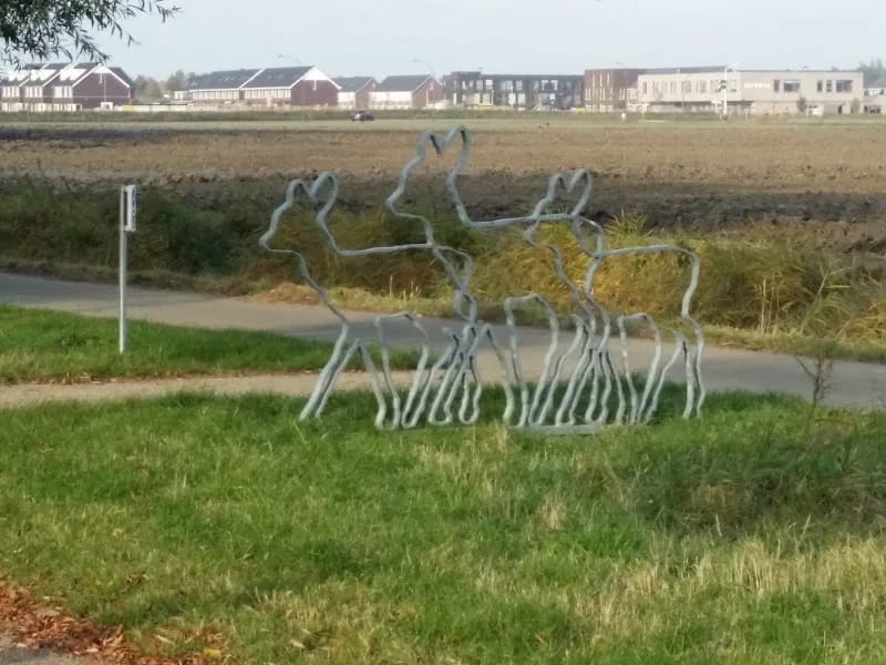 Zorgcentrum Randhof - Begeleid Wonen in Goes, Noord-Brabant photo 5