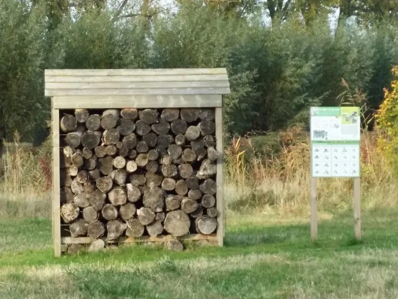 Zorgcentrum Randhof - Begeleid Wonen in Goes, Noord-Brabant photo 7