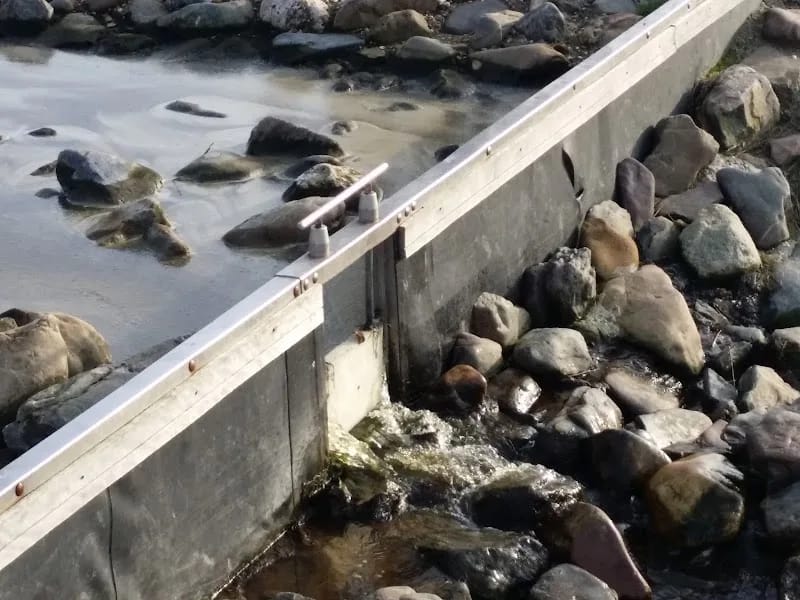 Zorgcentrum Randhof - Begeleid Wonen in Goes, Noord-Brabant photo 9