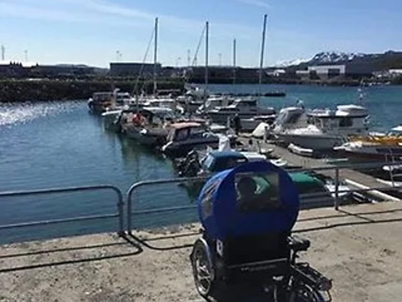Bergsodden dagtilbud - Dagaktivitet for voksne in Harstad, Troms og Finnmark photo 2