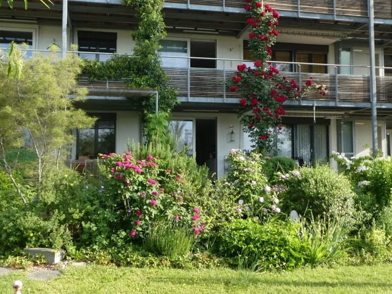 Bodana - Pflegen und Begleiten - Häusliche Krankenpflege in Salmsach, Thurgau photo 1