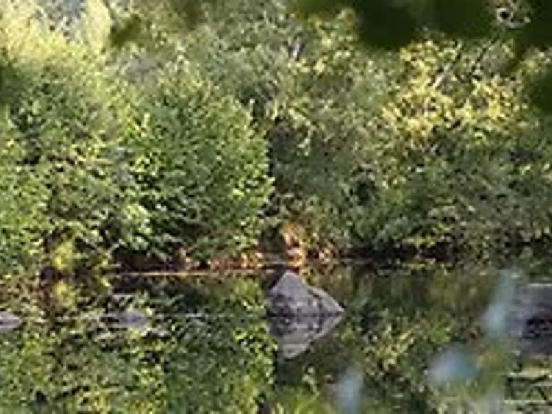 Ljungbyhemmet - Äldreboende in Kalmar, Kalmar län photo 1