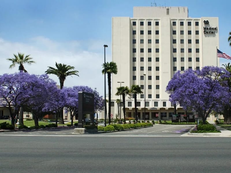 AMERICAN VETERANS HOME HEALTH CARE - Home Health Nursing in Long Beach, CA photo 1