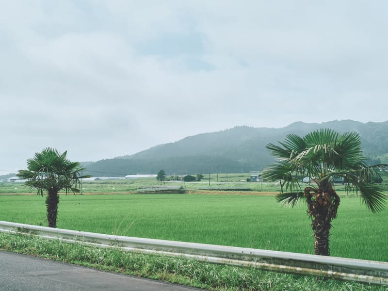 なかなか - 有料老人ホーム in 登米市, 宮城県 photo 2