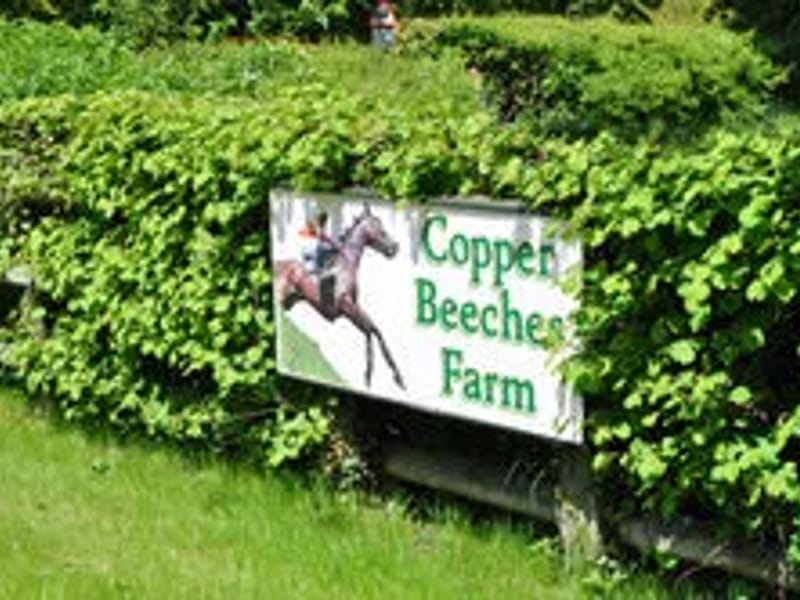 Copper Beeches - Nursing Home in Rochester, England photo 1