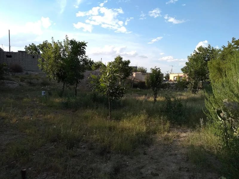 CENTROS COMUNITARIOS Y COMEDORES DEL ADULTO MAYOR - Hogar de Ancianos in Parras, Coahuila photo 3