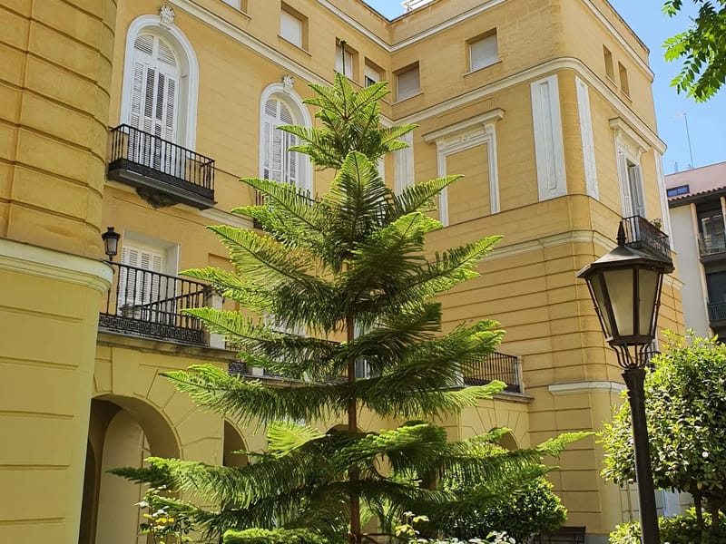 Maria Inmaculada, Residencia Geriatrica - Hogar de Ancianos in Madrid, Madrid photo 2