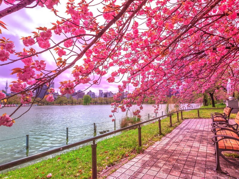 Nueva Primavera - Hogar de Ancianos in PARQUE AVELLANEDA, CABA photo 1