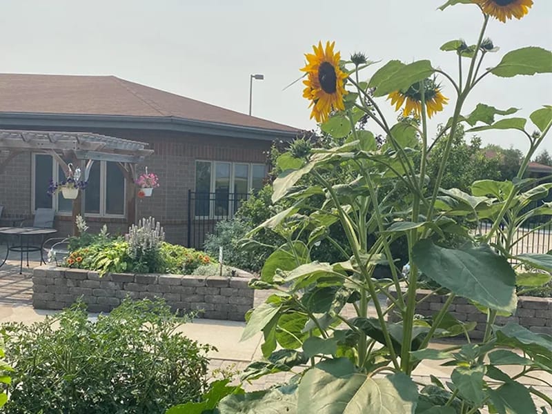 Lakota Good Samaritan Center - Assisted Living in Lakota, ND photo 3