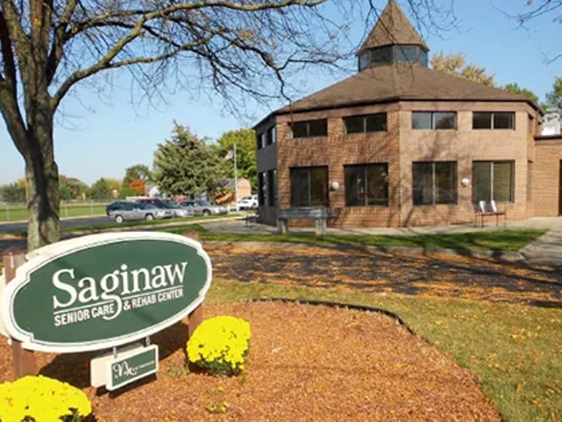 Americans Home Health Care - Home Health Nursing in Saginaw, MI photo 3