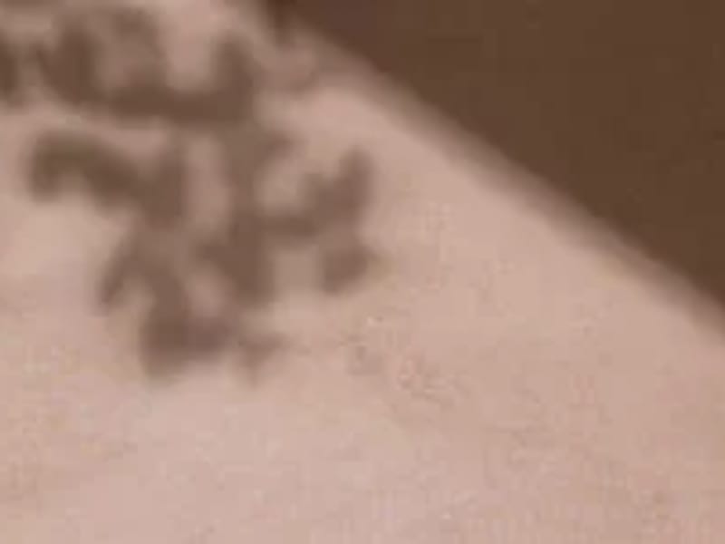 ALLIANCE HOME HEALTH OF IDAHO, LLC - Home Health Nursing in Pocatello, ID photo 2