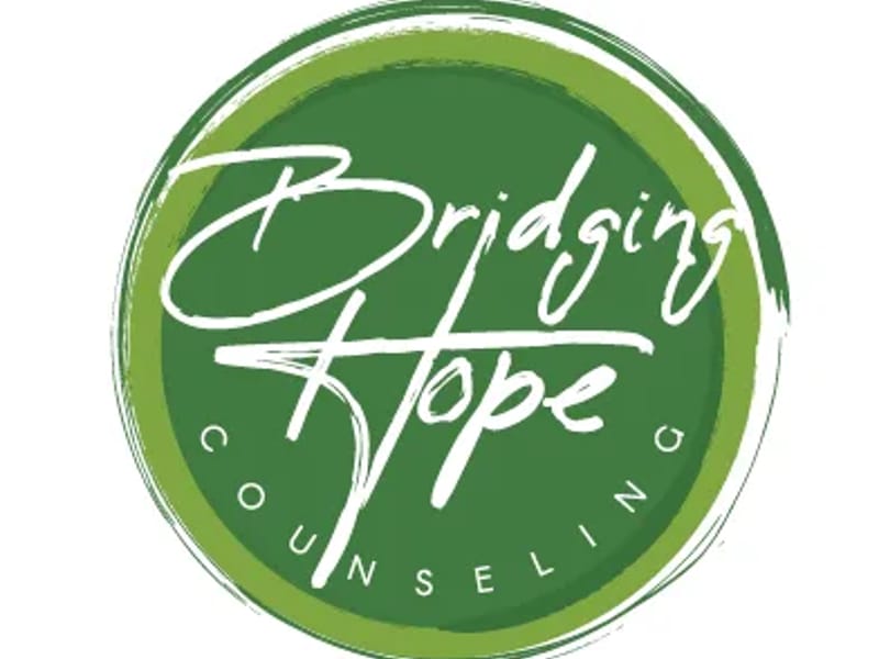 Bridging Hands LLC - Home Health Nursing in Lino Lakes, MN photo 1