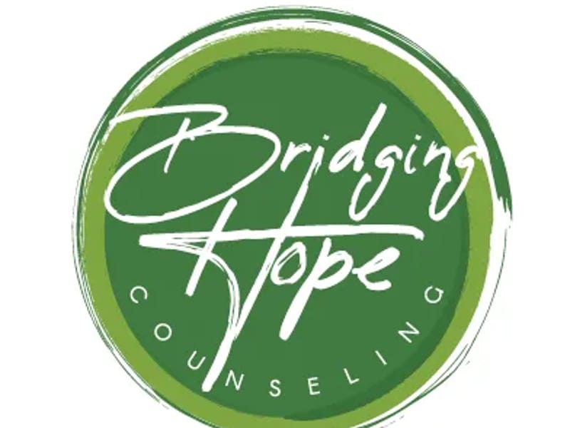 Bridging Hands LLC - Home Health Nursing in Lino Lakes, MN photo 2