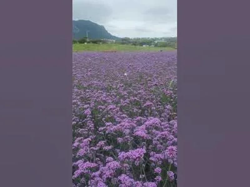 남제주요양원 in 서귀포시, 제주특별자치도 photo 3