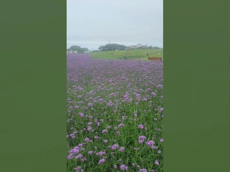 남제주요양원 in 서귀포시, 제주특별자치도 photo 1